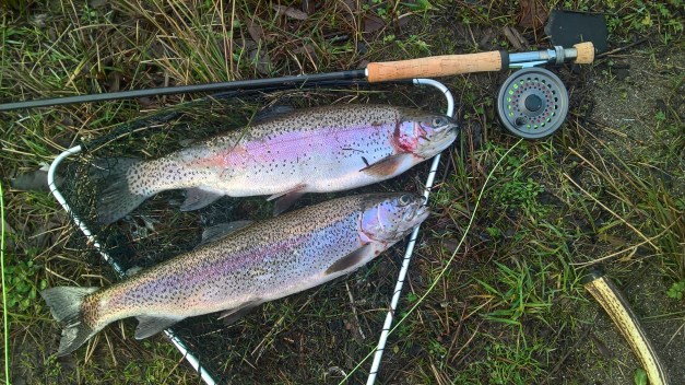 wp_20170116_11_31_11_pro