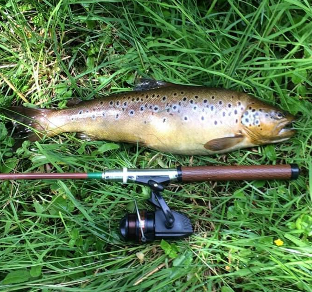 Screenshot_20200710-190933_Facebook